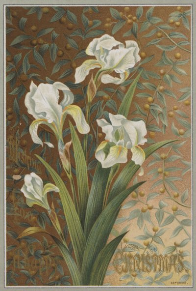 Iris (kromolitt) av English School