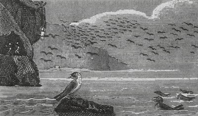 Isle of Man (gravering) av English School