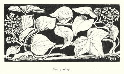 Ivy (engraving)   1418255   no       norwegian Successfully Translated  Original: Alphonse III des Asturies, dit Le Grand - Alfonso III (1265-1291), King of Aragon - Peinture de Jaume (Jaime) Mateu (1382-1452) - 1427 - Tempera on panel - 56,5x45,2 - Museu  av English School