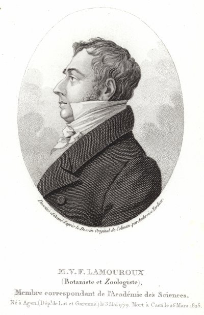 Jean Vincent Felix Lamouroux av English School