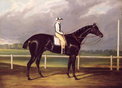 Jerry, vinner av St. Leger i 1824 (olje på lerret) av English School