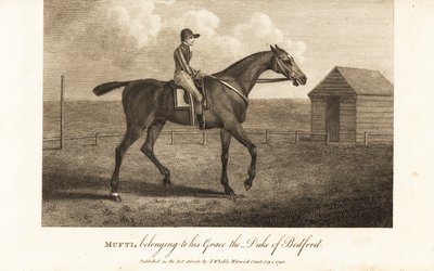 Jockey på den berømte fullblodsraceren Mufti, tilhørende hans Grace the Duke of Bedford av English School