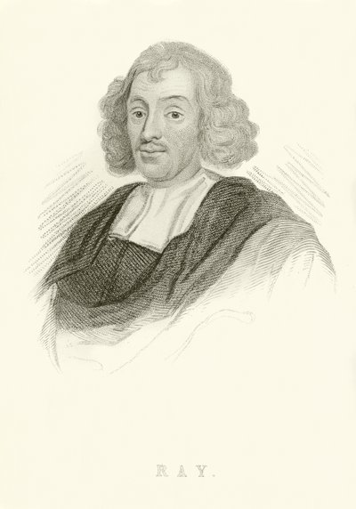 John Ray av English School