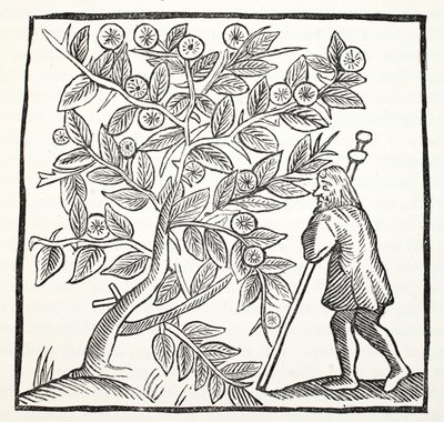 Joseph of Arimathea and the Glastonbury Thorn, illustrasjon fra Chap-books of the Eighteenth Century av John Ashton, pub. 1882 av English School