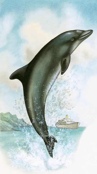 Hoppende delfin av English School