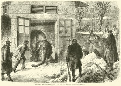 Drep en elefant for mat i Jardin d