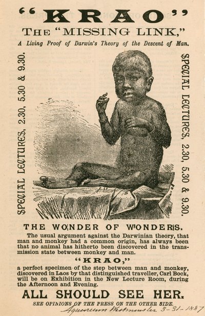 Krao, The Missing Link, utstilt på Aquarium, Westminster, London, i 1887 av English School