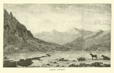 Ladak natur av English School