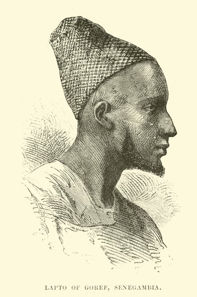 Bærbar datamaskin fra Goree, Senegal av English School