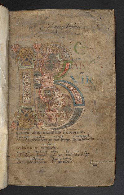 Stor initial med beisthodeterminaler, flettet og bladdekor i rosa, oransje, gult, grønt og blått (vellum) av English School
