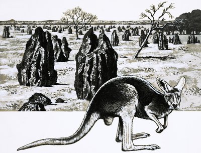 Store termitthauger nær Darwin, Australia, og en kenguru i forgrunnen av English School