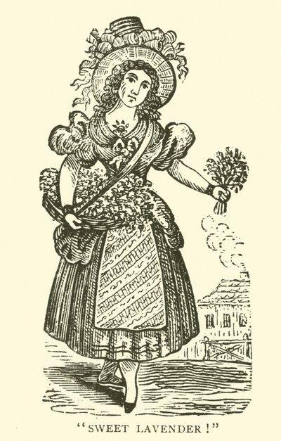 Lavendelselger (tresnitt) av English School