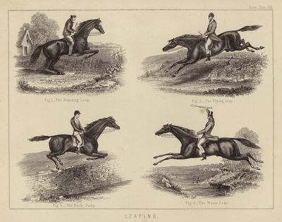 Leaping (farge litho) av English School