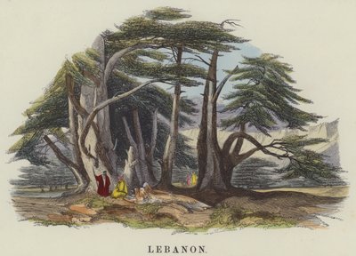 Libanon (farget gravering) av English School