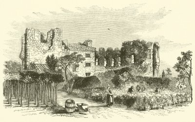 Leicester Abbey (gravering) av English School