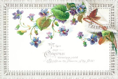 Fliederfeldblumen und Schmetterling, Weihnachtskarte von English School