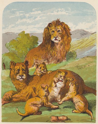 Löwen von English School