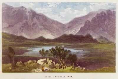 Lille Langdale Tarn (farge litho) av English School