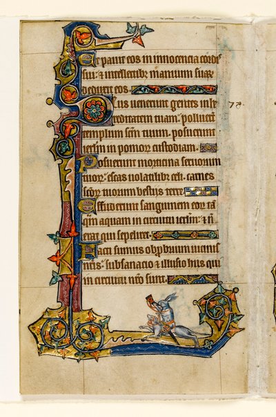 MS 1-2005, fol. 115v: En kanin som rir på en hund, jakter, marginal dekorasjon fra Macclesfield Psalter, Use of Sarum, East Anglia, ca. 1330 av English School