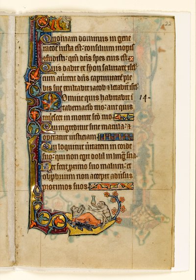 MS 1-2005, fol. 22r: Apedoktoren og hans bjørnepasient, marginale dekorasjon fra Macclesfield Psalter, Use of Sarum, East Anglia, ca. 1330 av English School