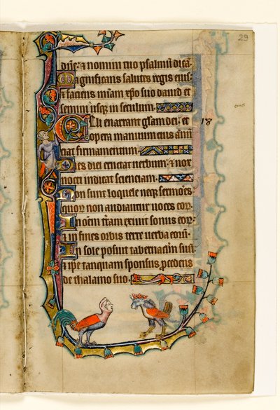 MS 1-2005, fol. 29r: Two Bird like grotesques, marginal dekorasjon fra Macclesfield Psalter, Use of Sarum, East Anglia, ca. 1330 av English School