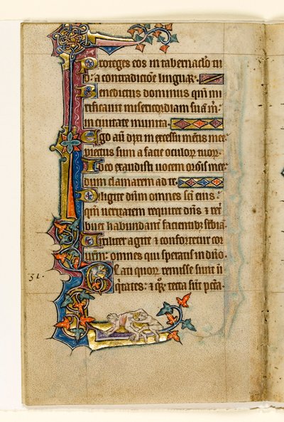 MS 1-2005, fol. 45v: An Ape peering in a Mans Bottom, marginal dekorasjon fra Macclesfield Psalter, Use of Sarum, East Anglia, ca. 1330 av English School