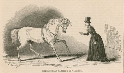Mademoiselle Caroline ved Vauxhall Gardens, London av English School
