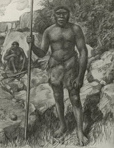 Mann hvis hodeskalle ble oppdaget i Rhodesia i 1921 av English School