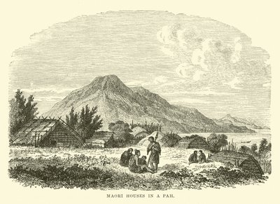 Maori-hus i en Pah av English School