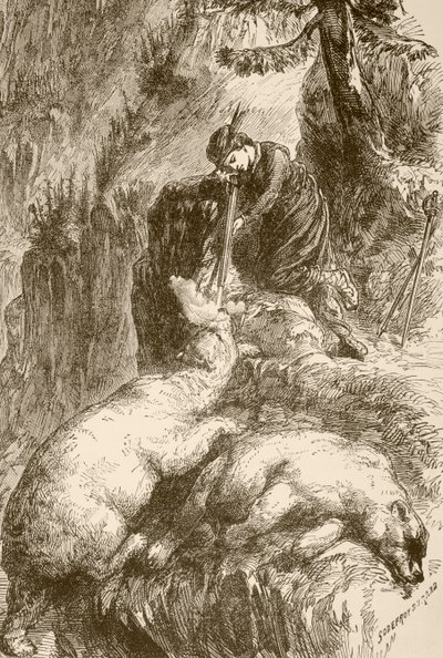 Marguerite de Roberval skyter to bjørner på Isle of Demons utenfor Newfoundland (litho) av English School