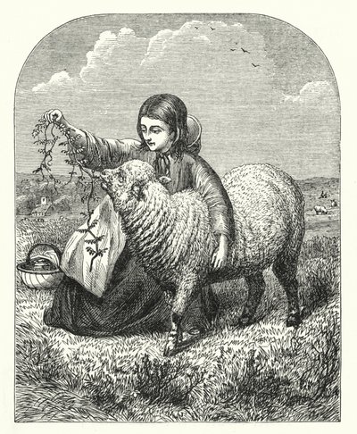 Marys Lamm (Gravur) von English School