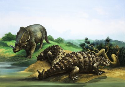 Monoclonius og Scolosaurus av English School