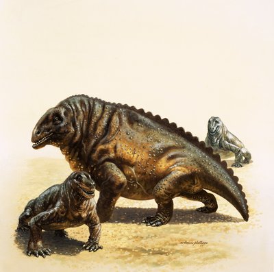 Moschops av English School