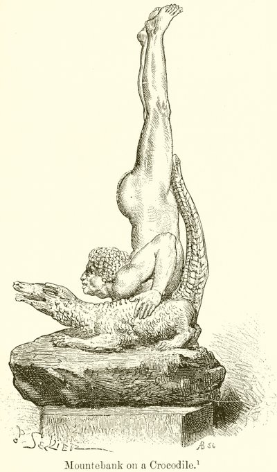 Scharlatan auf einem Krokodil von English School