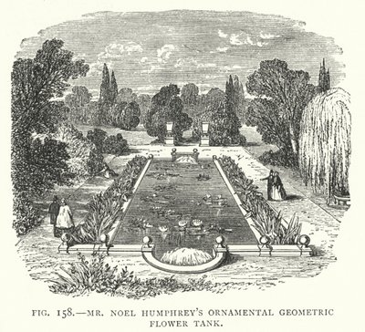 Herr Noel Humphreys ornamentaler geometrischer Blumentank (Stich) von English School