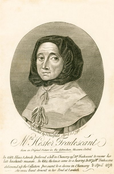 Mrs Hester Tradescant von English School