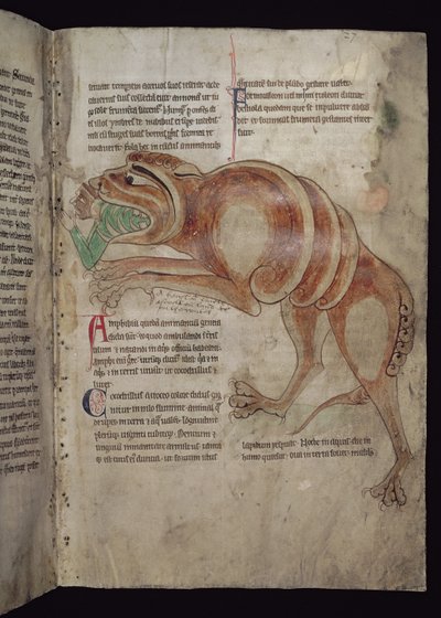Ms.254 f.24 r Cocodrillus som svelger en mann av English School