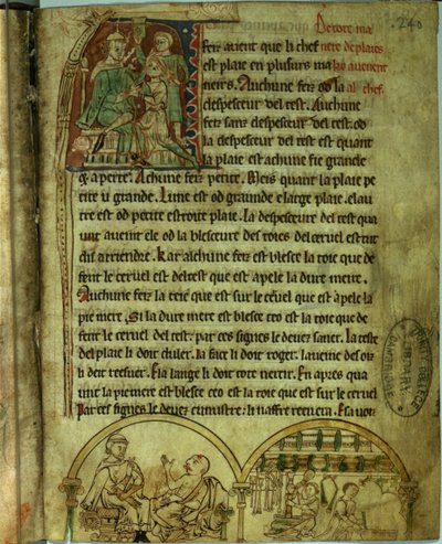 Ms.O.1.20.f.241v Jerome: En lege som besøker en pasient og et apotek, fra 