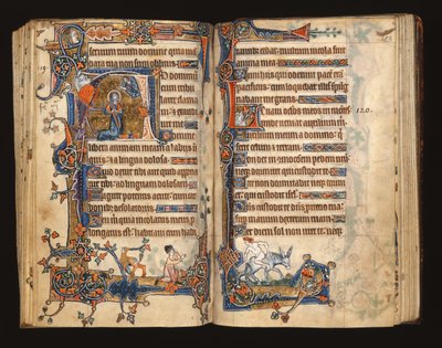 Ms 1-2005, ff.182v-183r: David ber, historisk initial fra Macclesfield Psalter, Use of Sarum, East Anglia, ca. 1330 av English School