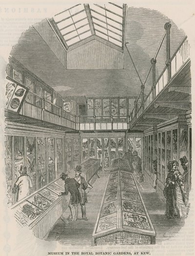 Museum i Royal Botanic Gardens, på Kew av English School