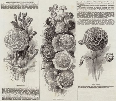 National Floricultural Society (gravering) av English School