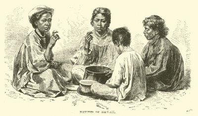 Innfødte på Hawaii av English School