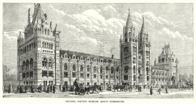 Natural History Museum, South Kensington (gravering) av English School