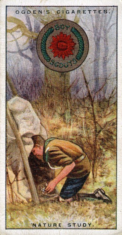 Naturstudiemerke for speidere, speider på vei inn i et skjul, 1929 av English School