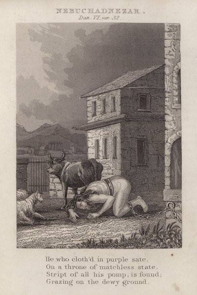 Nebukadnesar, Daniel VI, ver 32 (gravering) av English School