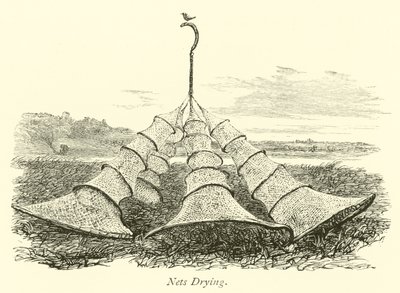 Netze Trocknen von English School