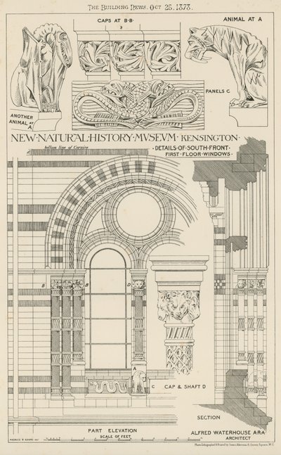 New Natural History Museum, South Kensington, London av English School