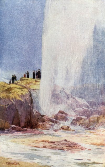 New Zealand: Wairoa Geyser (farge litho) av English School