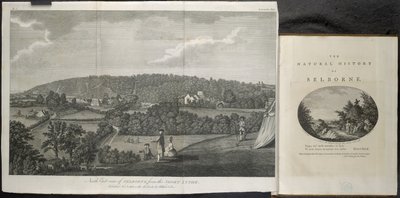 Nordøst utsikt over Selbourne av English School