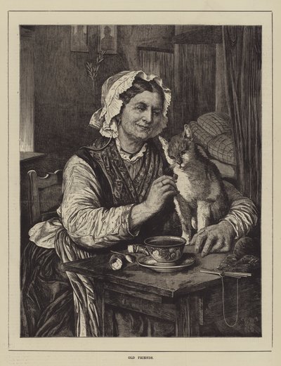 Alte Freunde von English School